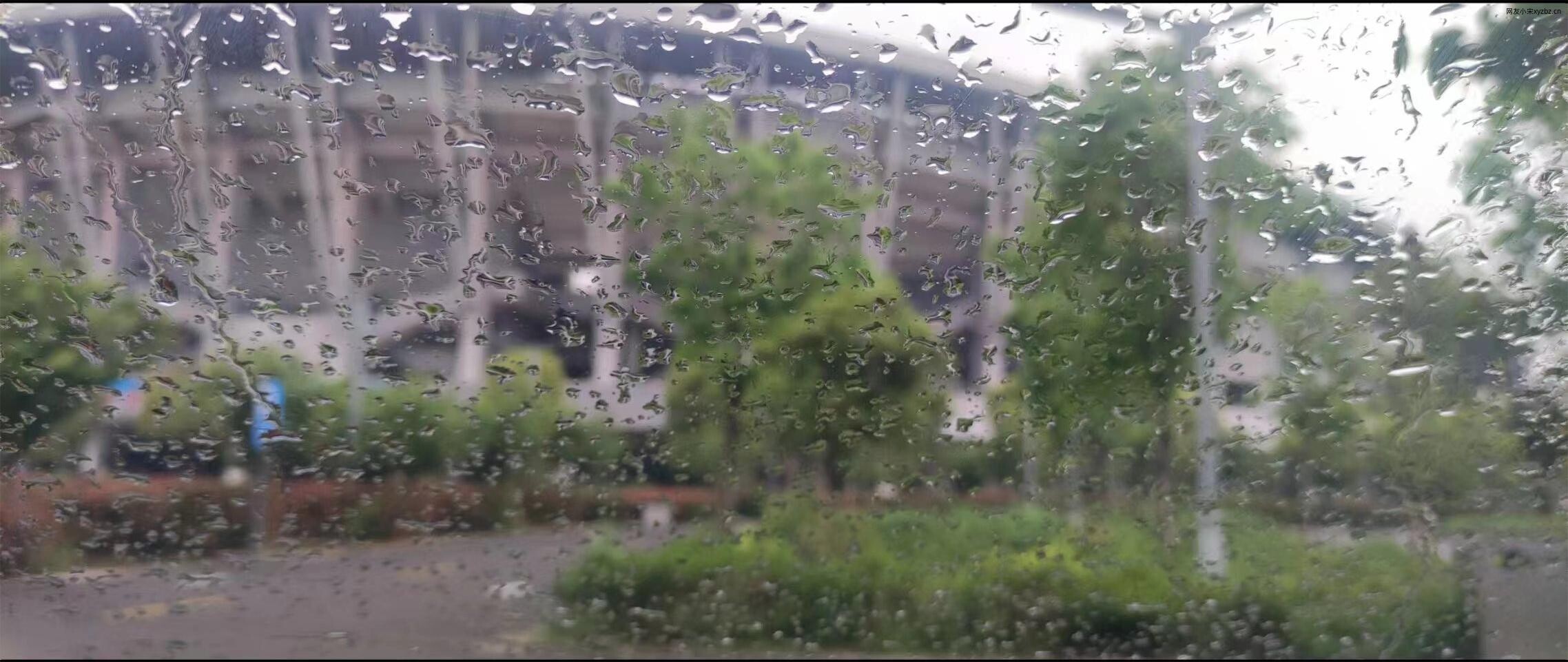 停车场的雨天.jpg