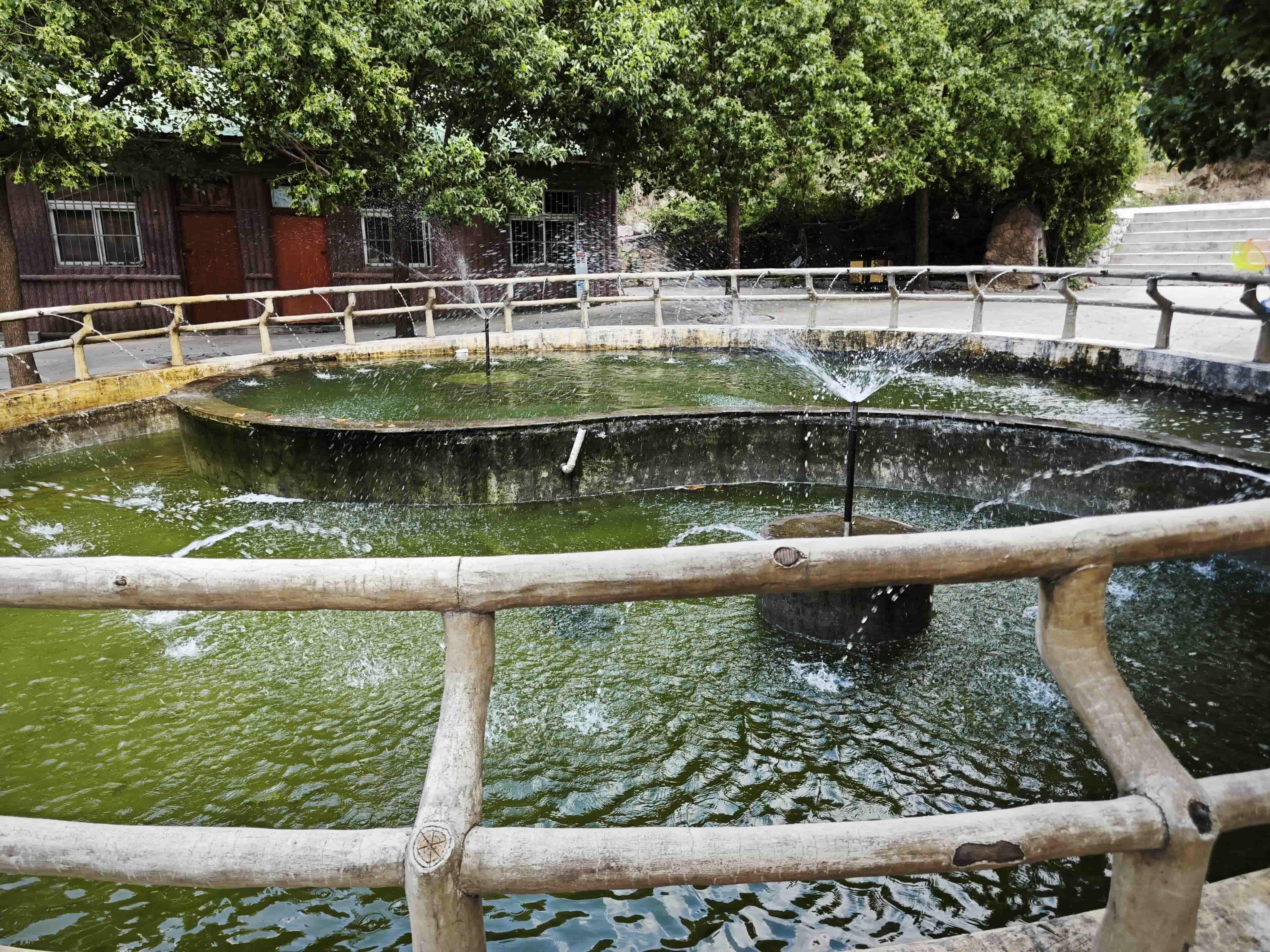 灯台架-2入口水池.jpg