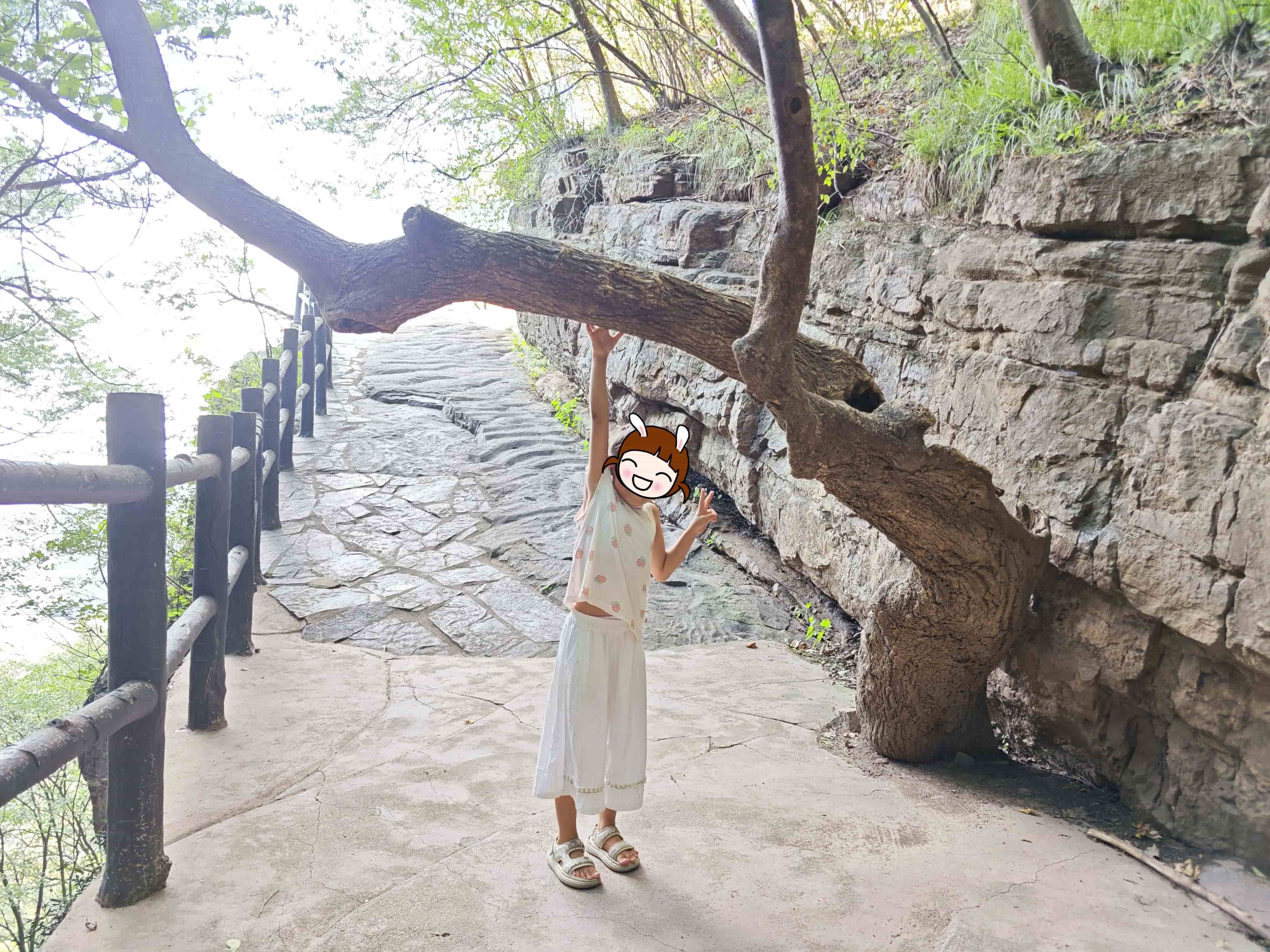 灯台架-10与风景合影 (1).jpg
