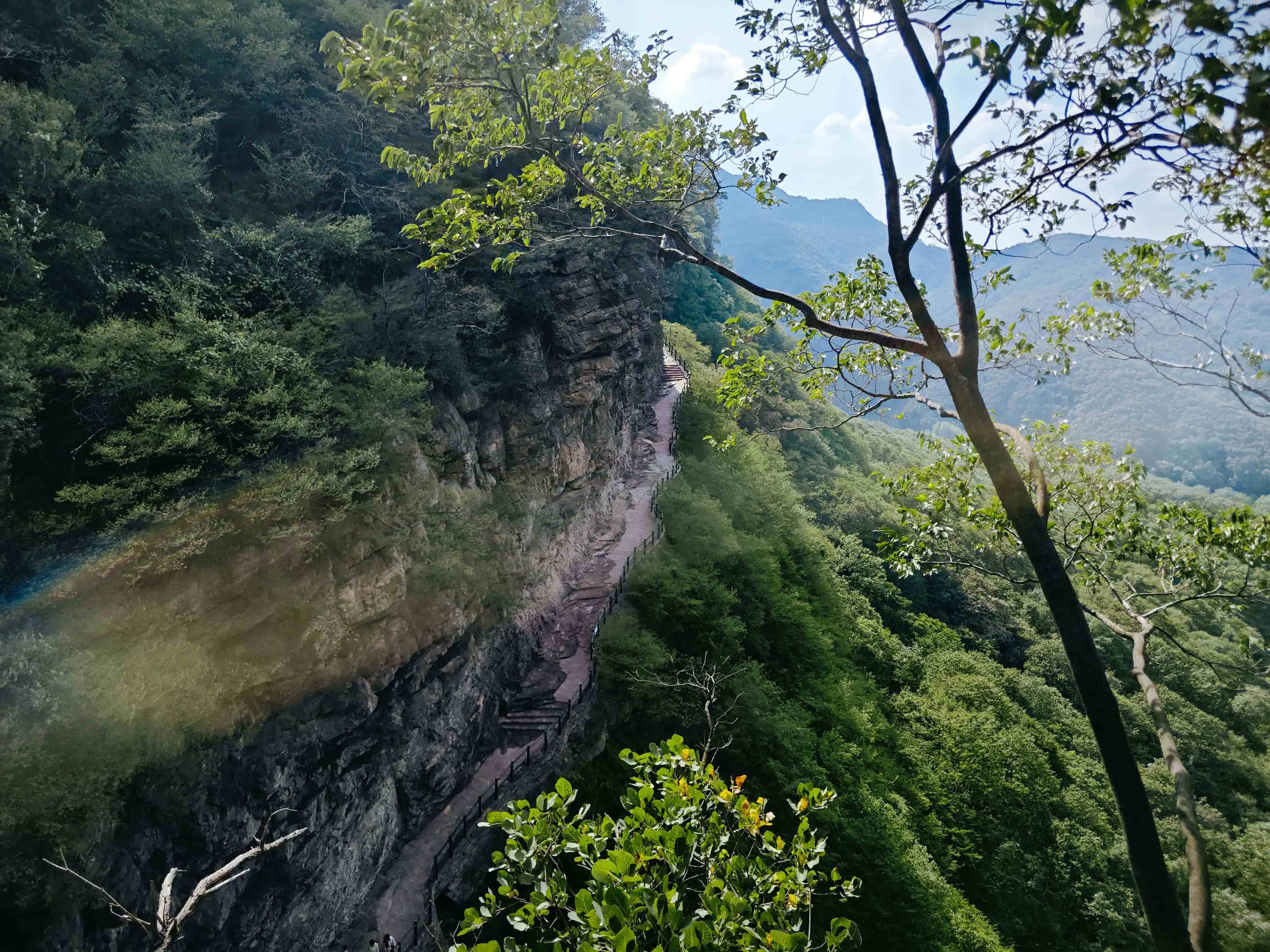 灯台架-11山间美景 (4).jpg