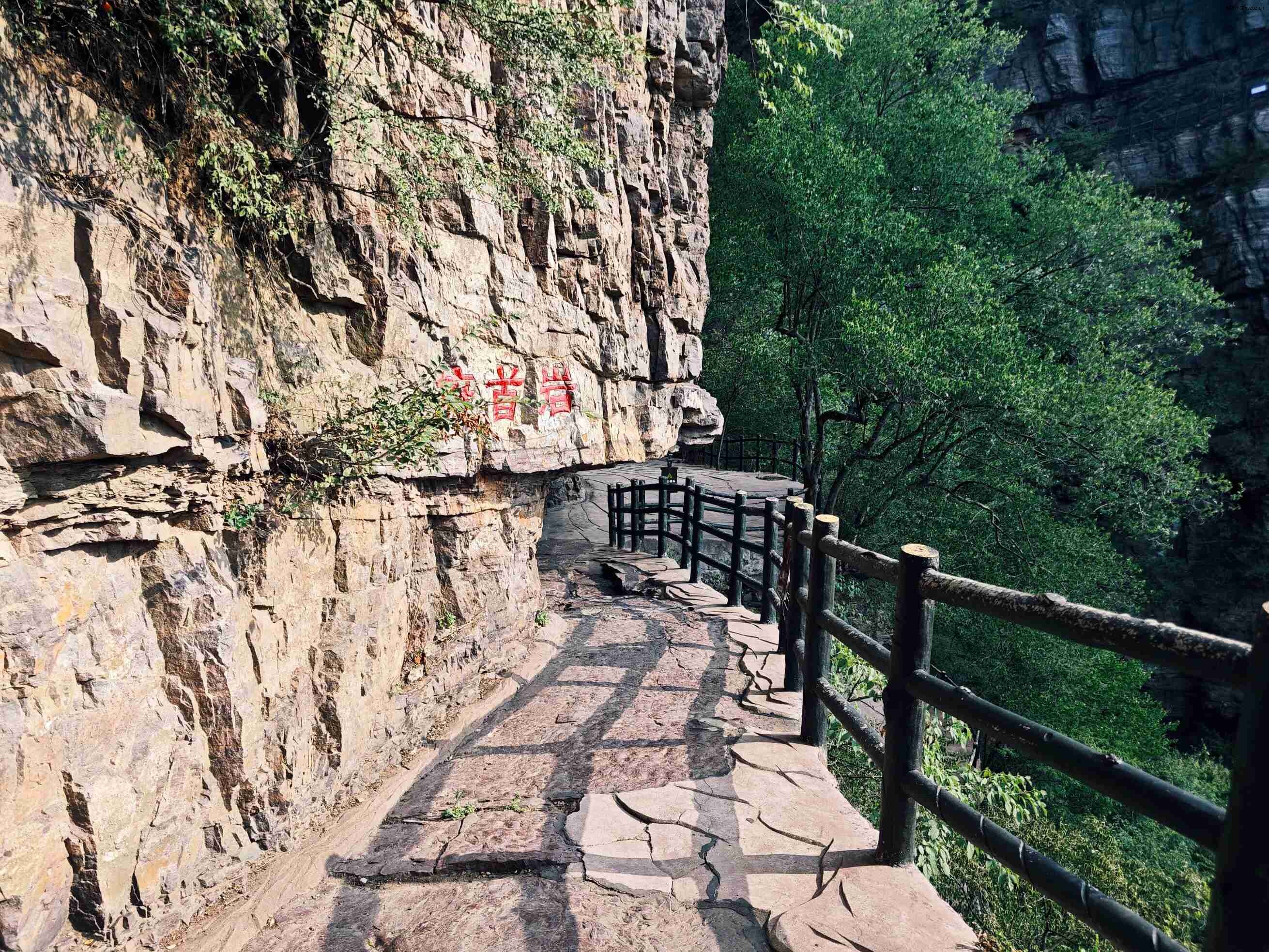 灯台架-11山间美景 (8).jpg