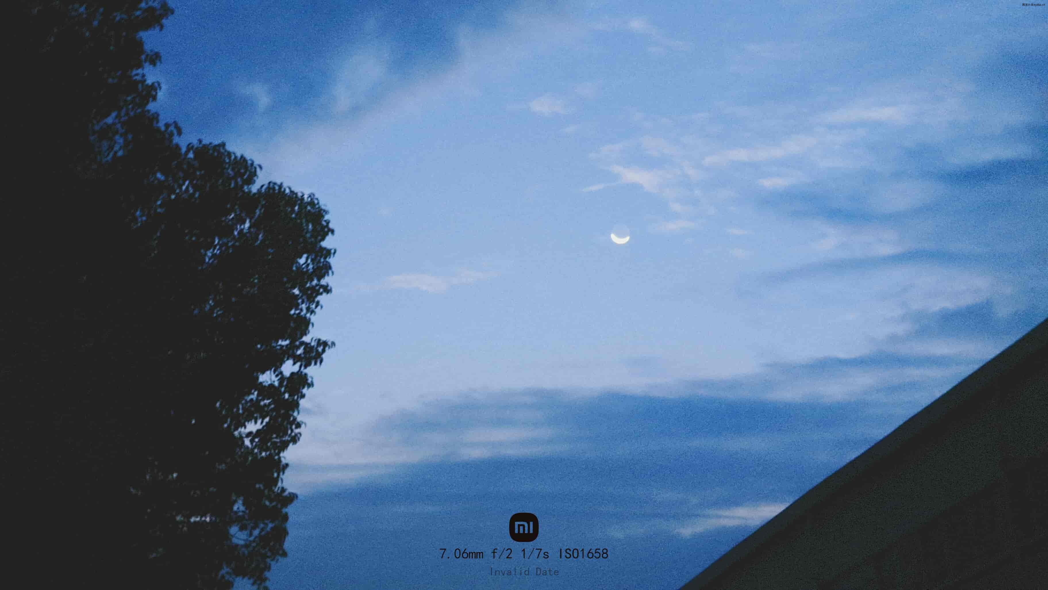 点击放大图片 乙巳蛇年-十月末