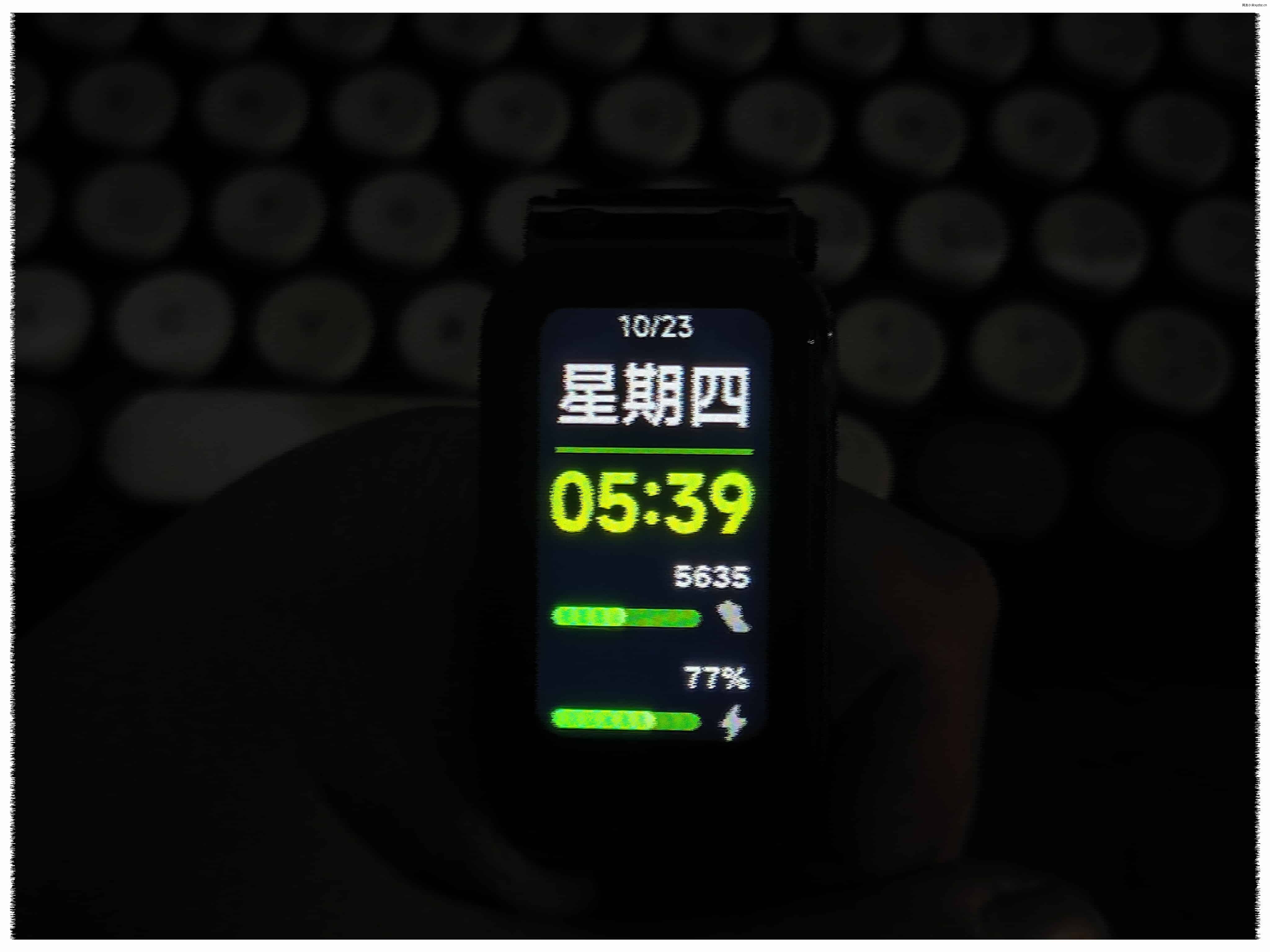 点击放大图片 乙巳蛇年-十月末