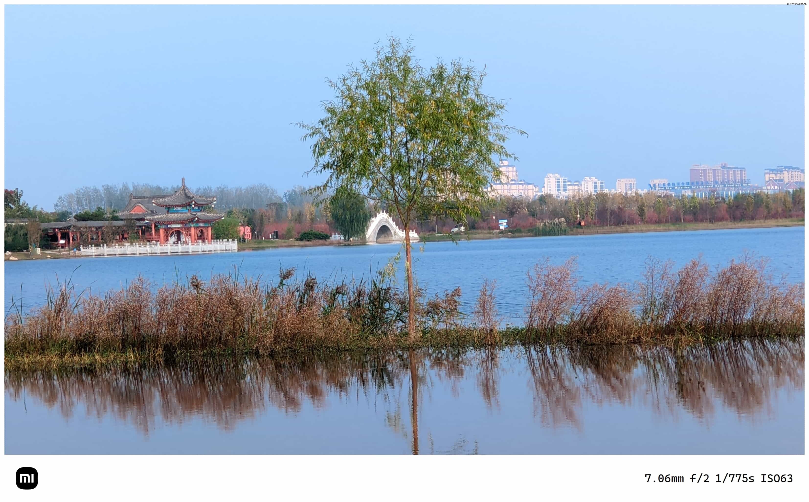 点击放大图片 秋游海棠园
