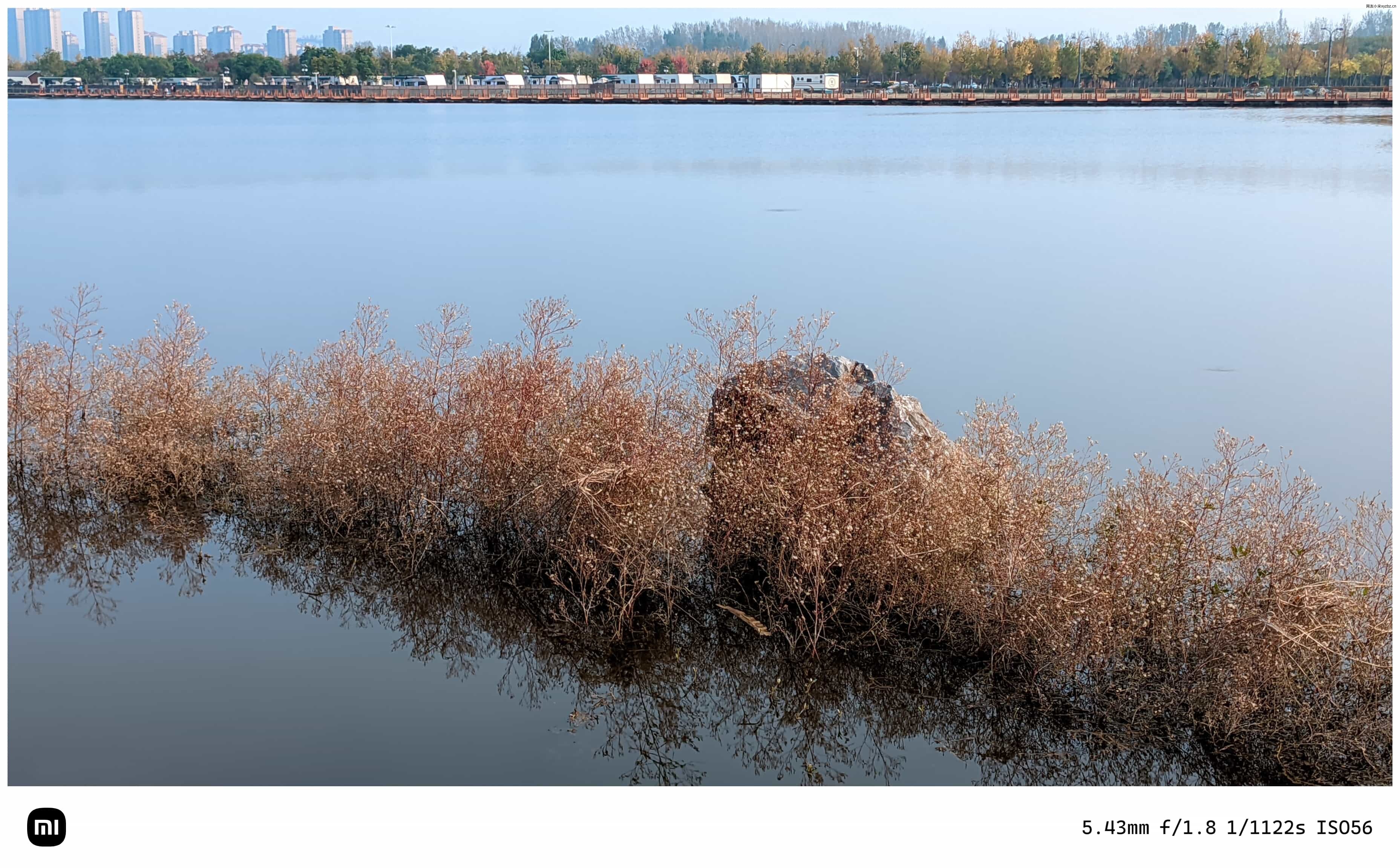 点击放大图片 秋游海棠园