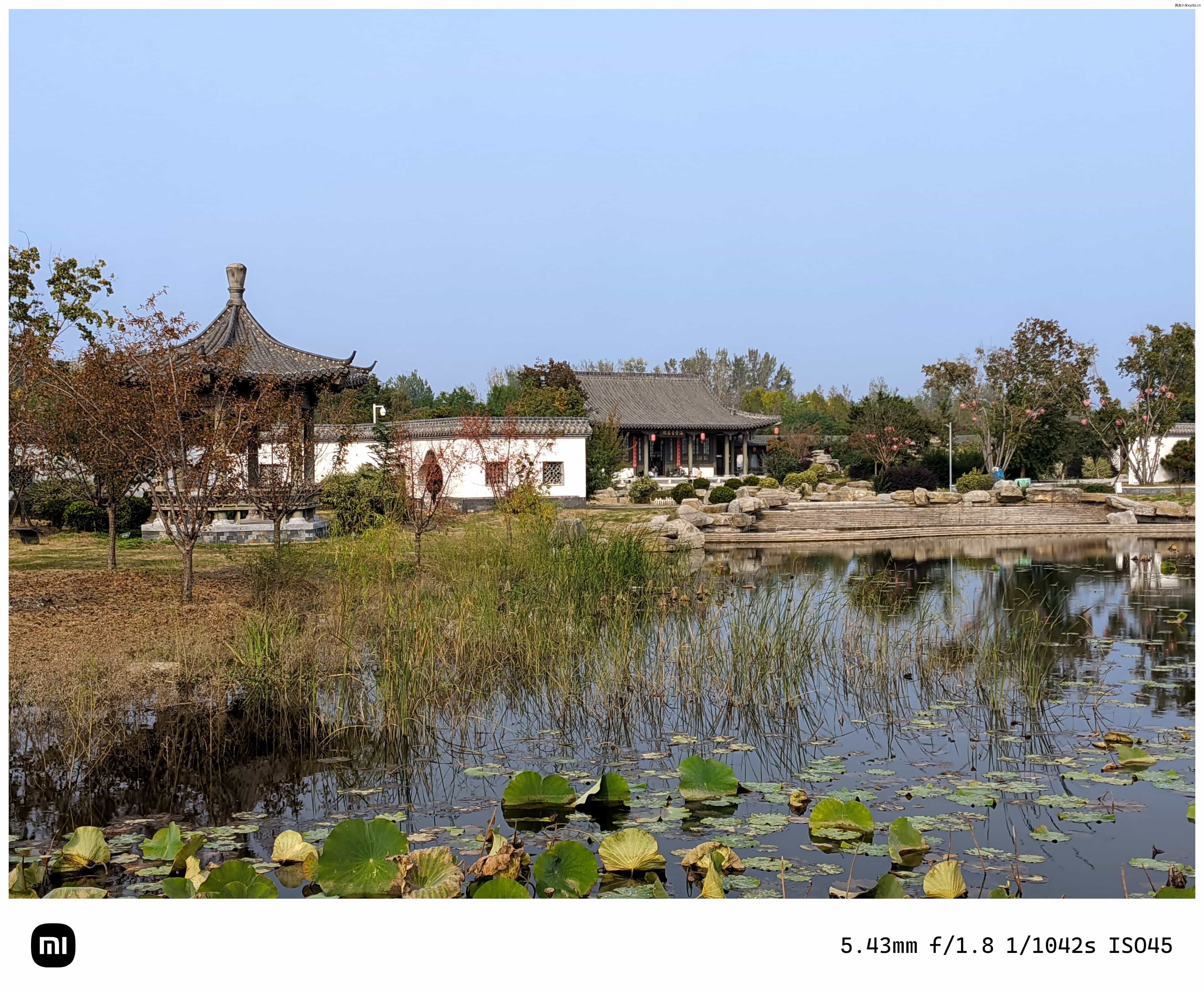 点击放大图片 秋游海棠园