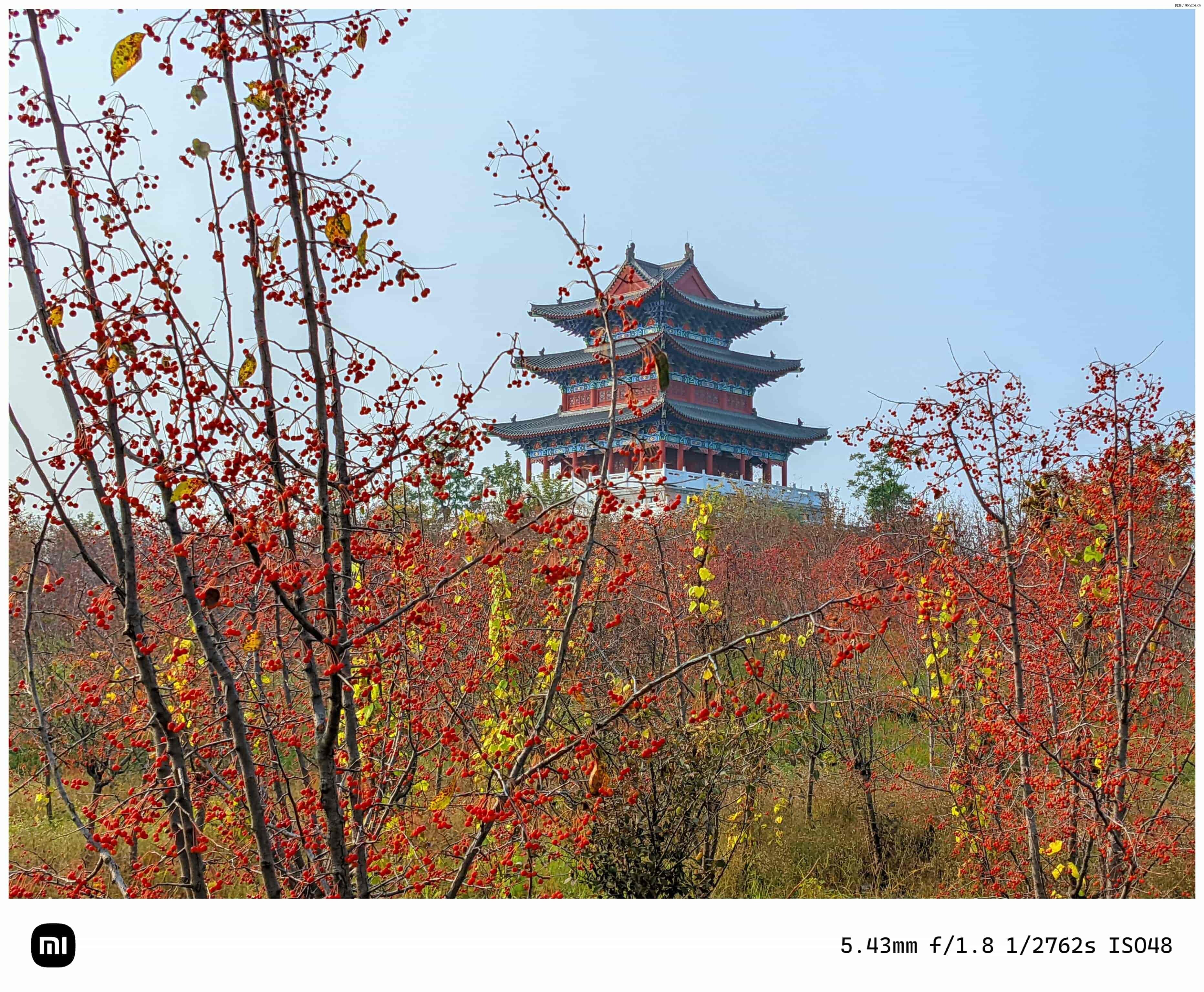 点击放大图片 秋游海棠园