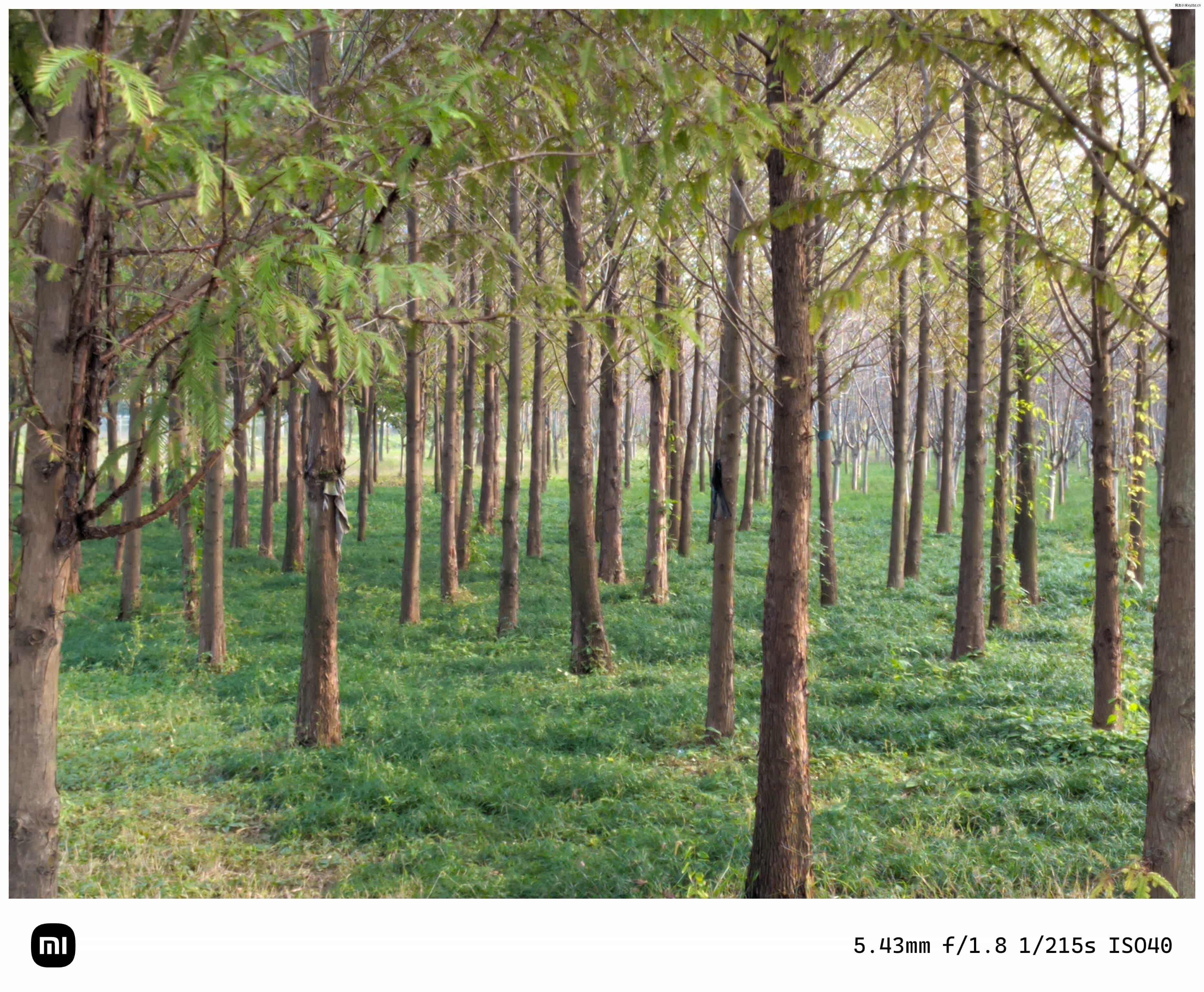 点击放大图片 秋游海棠园