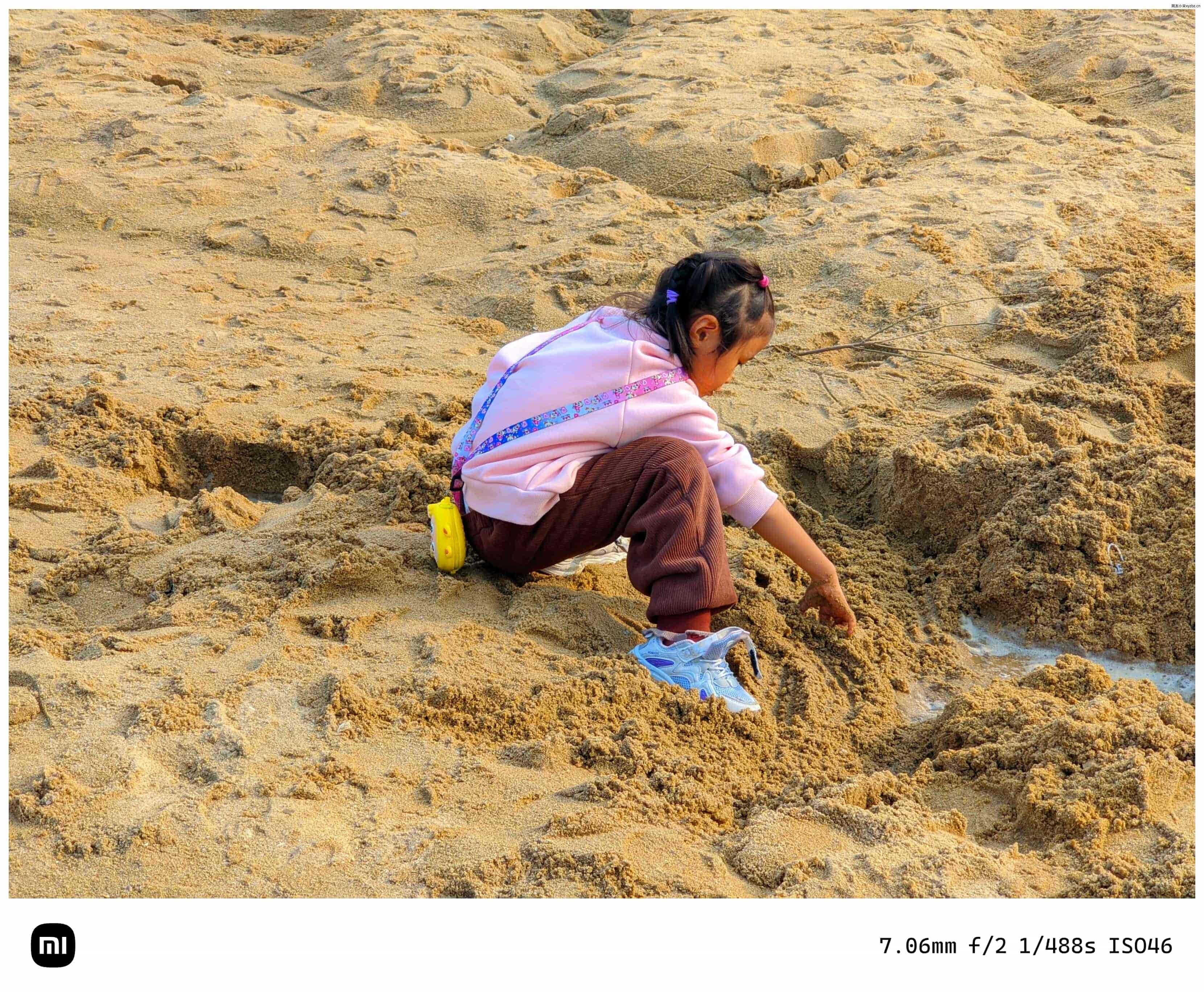 点击放大图片 秋游海棠园