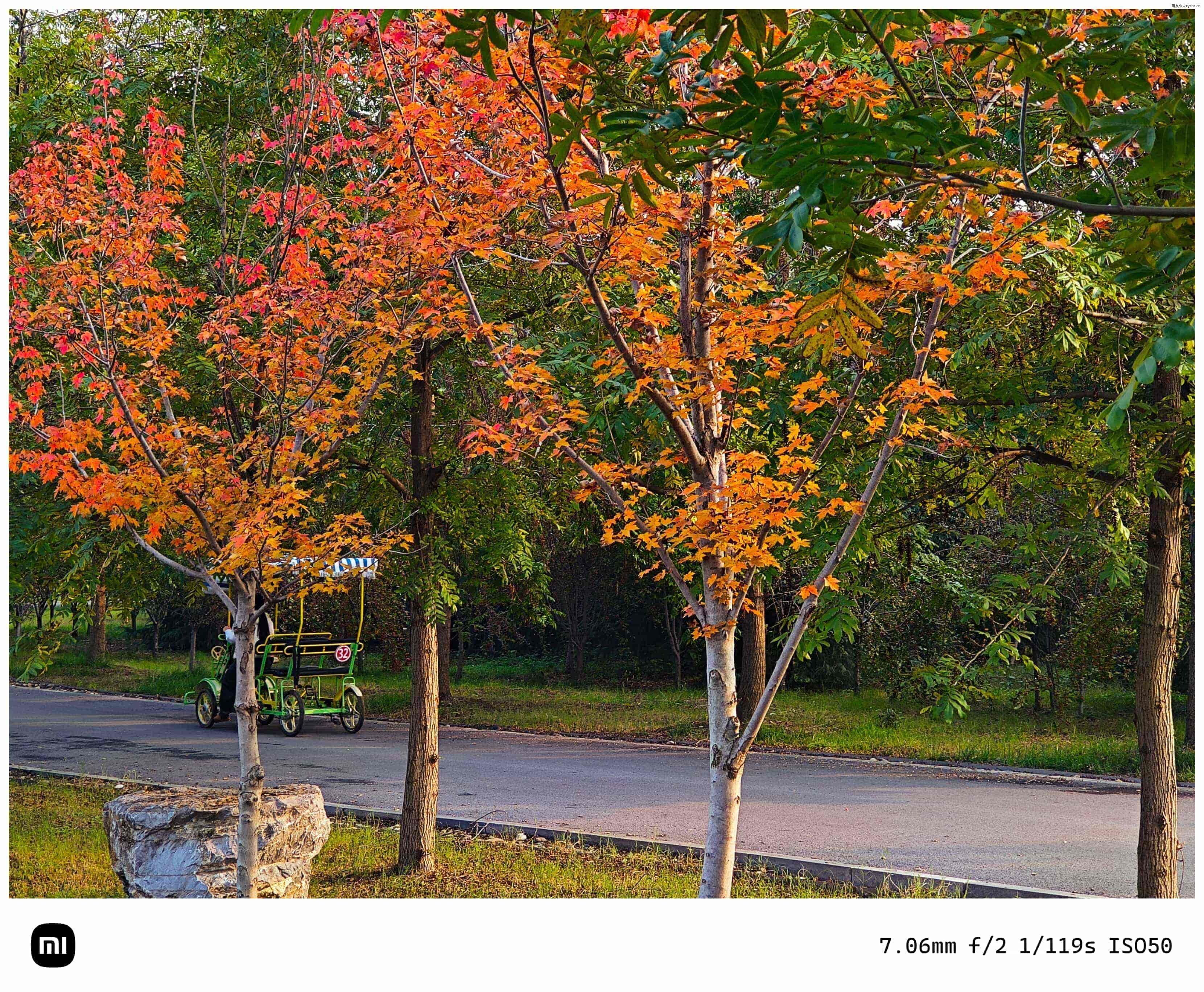 点击放大图片 秋游海棠园
