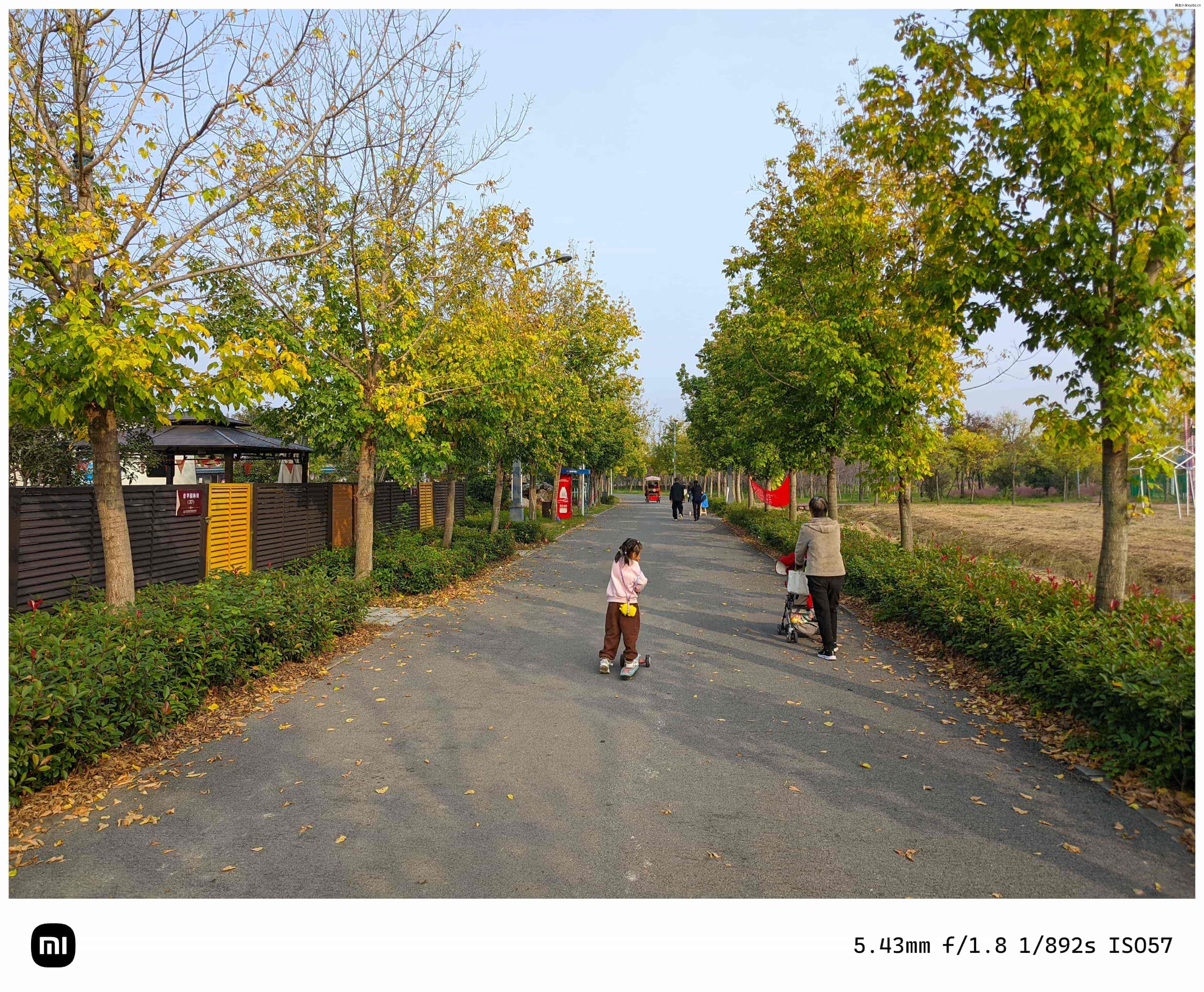 点击放大图片 秋游海棠园