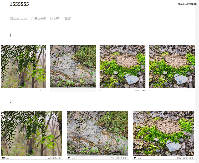 点击放大图片 乙巳蛇年-十月末