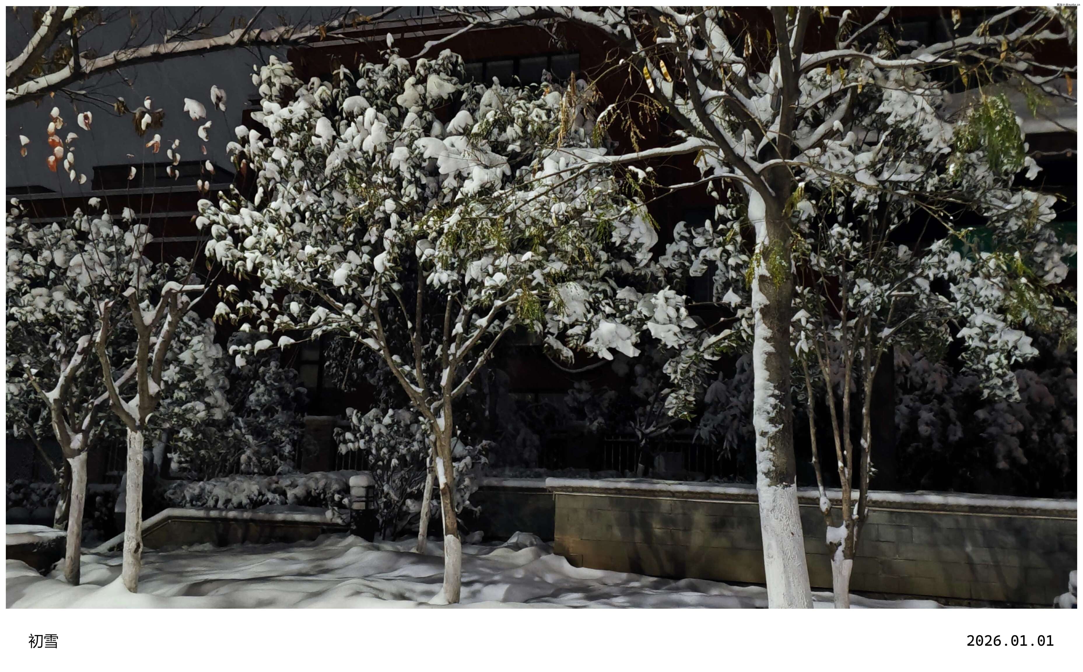 2026初雪 (9).jpg 2026初雪 (9).jpg