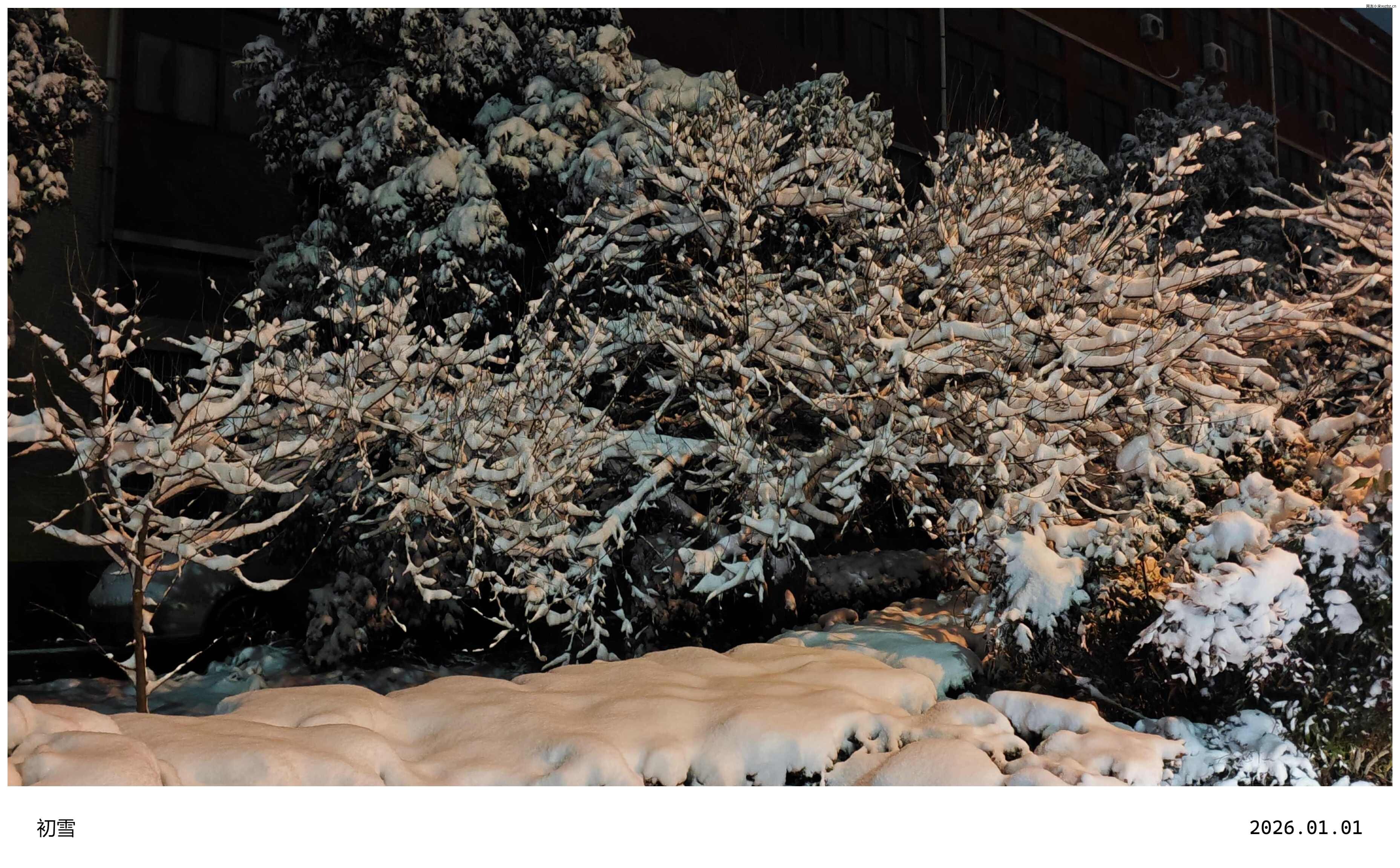 2026初雪 (1).jpg 2026初雪 (1).jpg