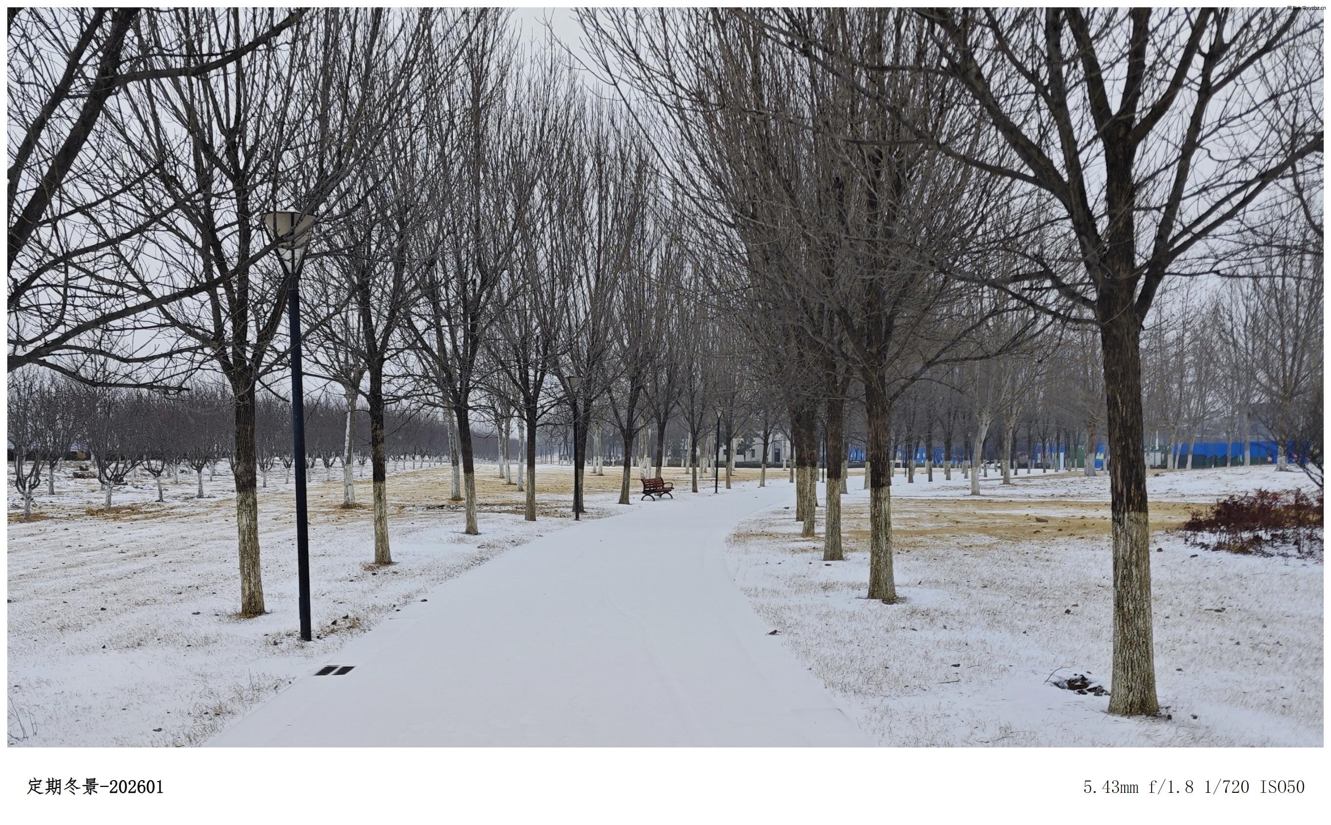 点击放大图片 松声|廿六年·一月暮·岁灯残