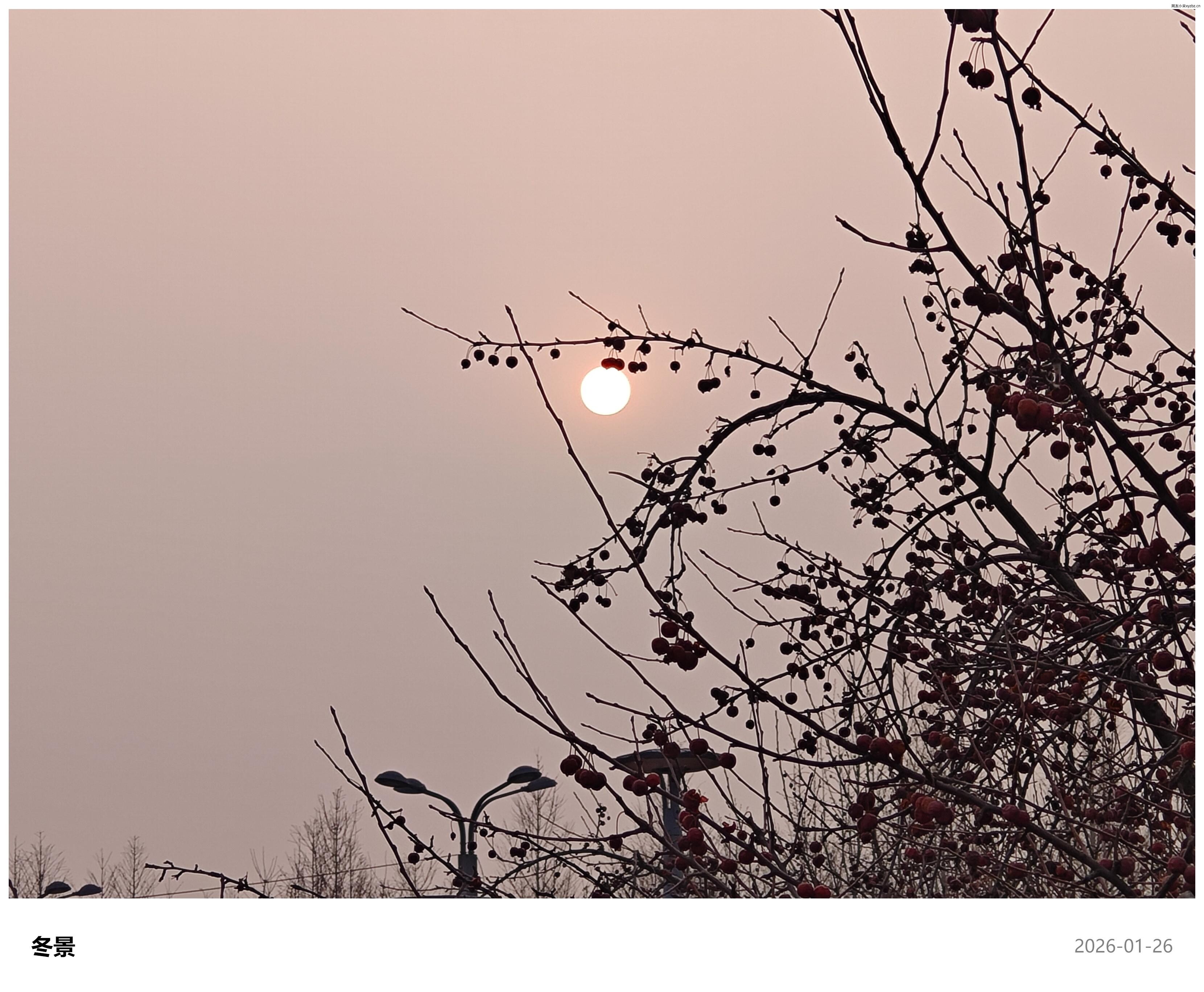 点击放大图片 松声|廿六年·一月暮·岁灯残