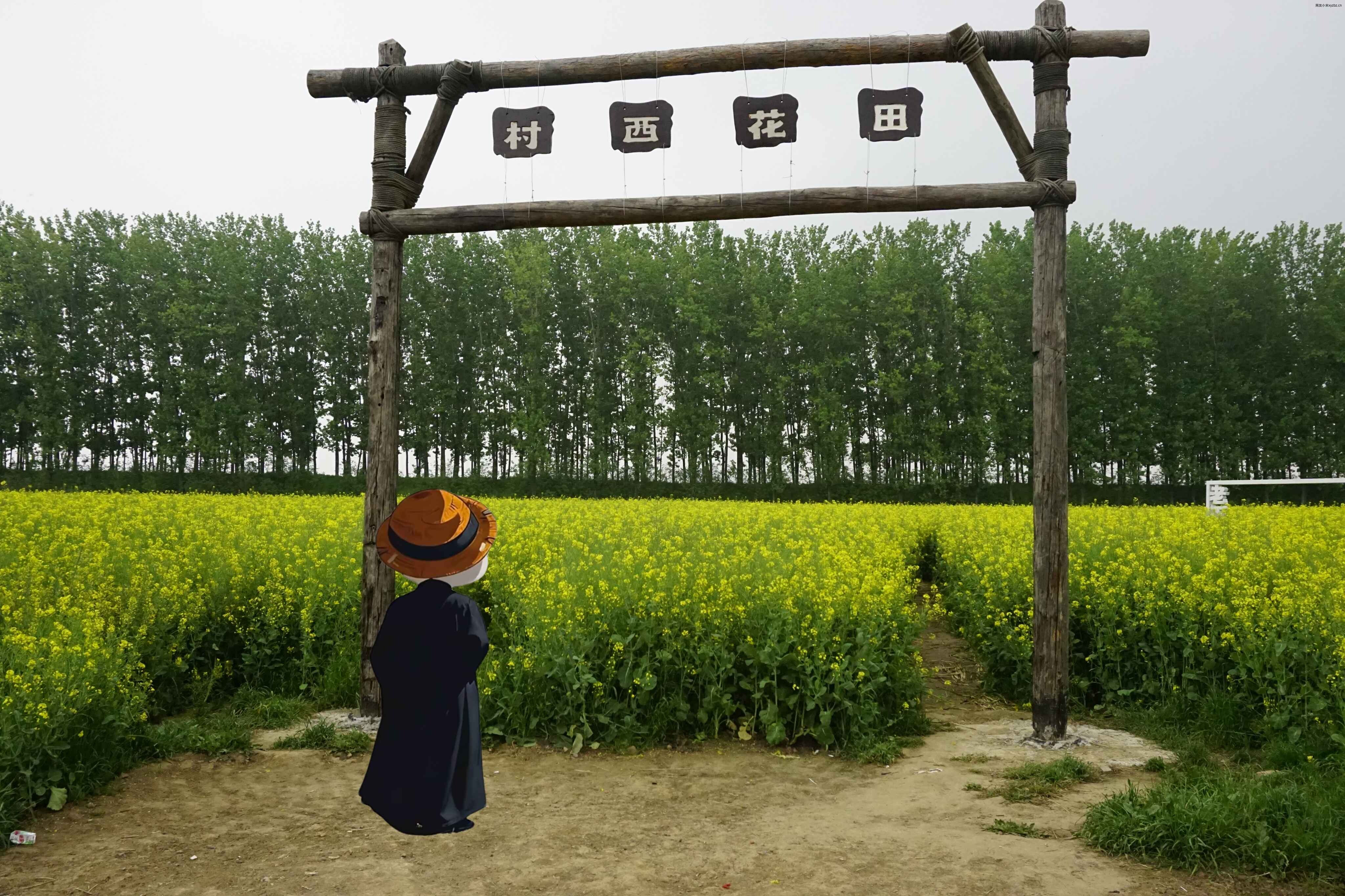 2026四月半-风景 (6).jpg