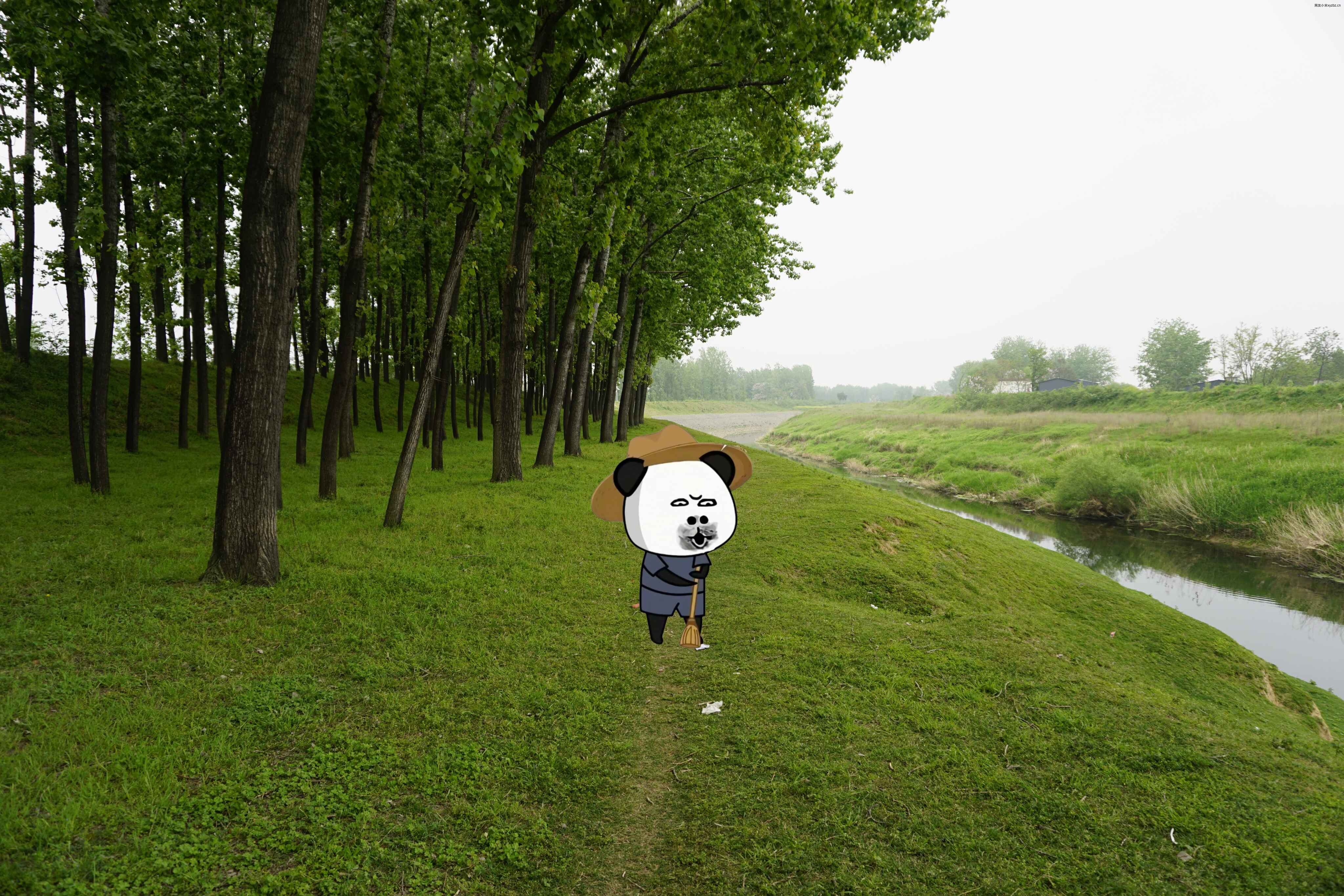 2026四月半-风景 (5).jpg